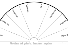 Meridiano-del-Pulmon-Emociones-Negativas