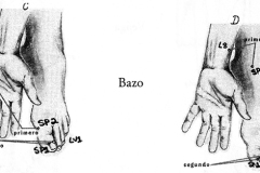 Figura-26-Bazo