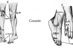 Figura-26-Corazon
