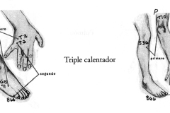 Figura-26-Triple-calentador