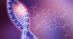 ARNM y genoma