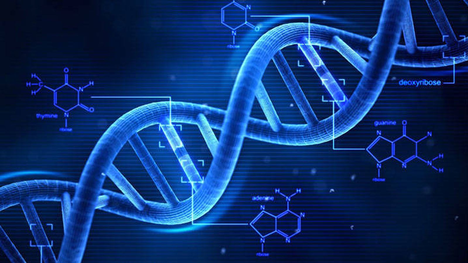 Biología ADN